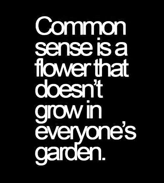 1 common sense not flower FB X